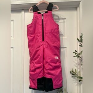 The North Face freedom insulated bib